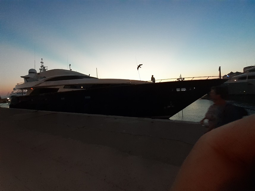 yacht seagull