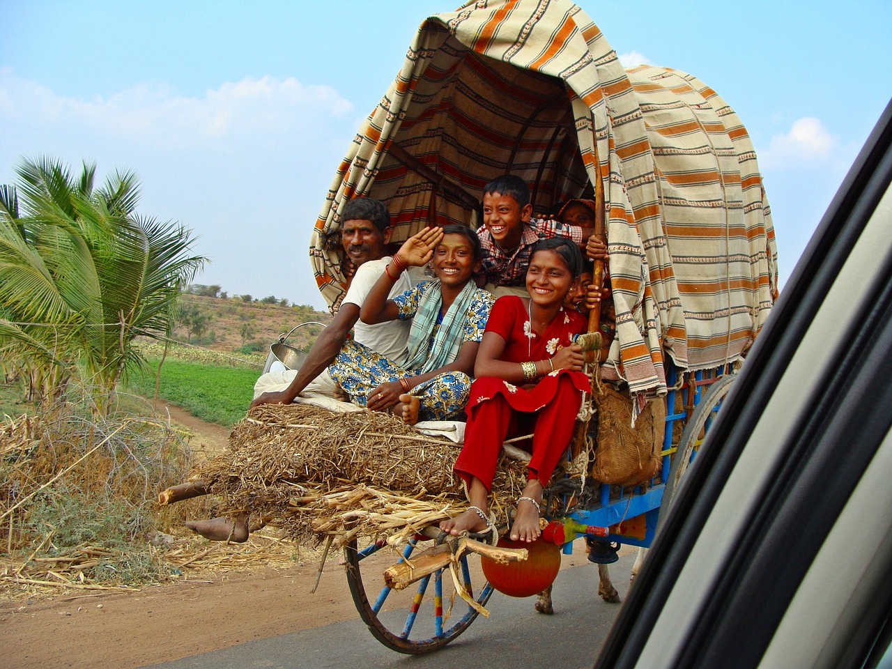 Bullock-cart