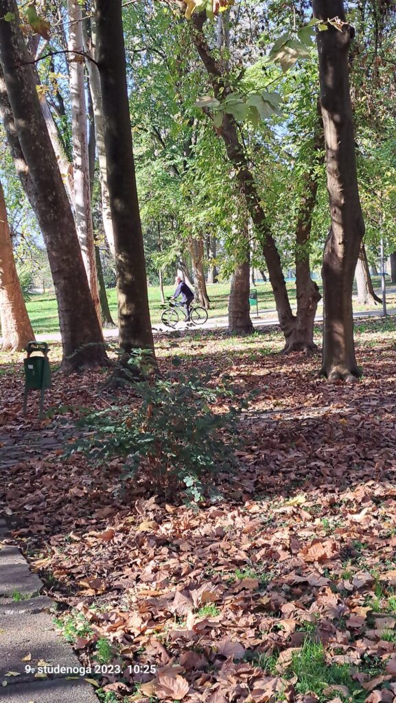 Fourth-cyclist-on-the-pedestrian-path-in-Park-Klasije