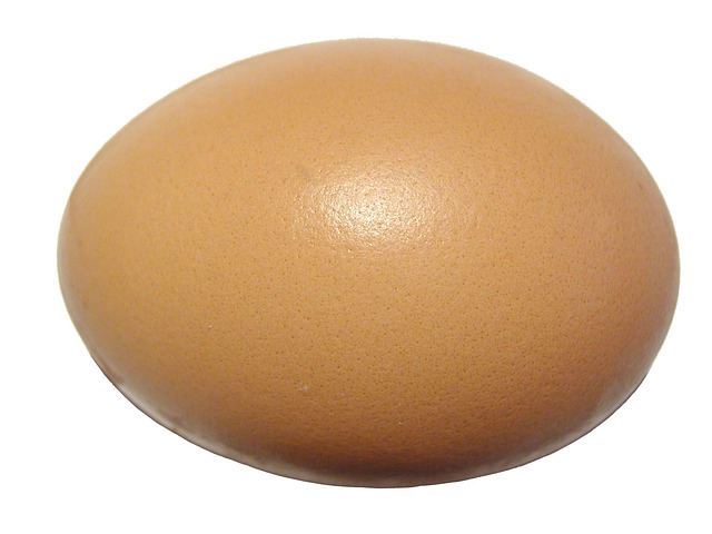 cooked-egg
