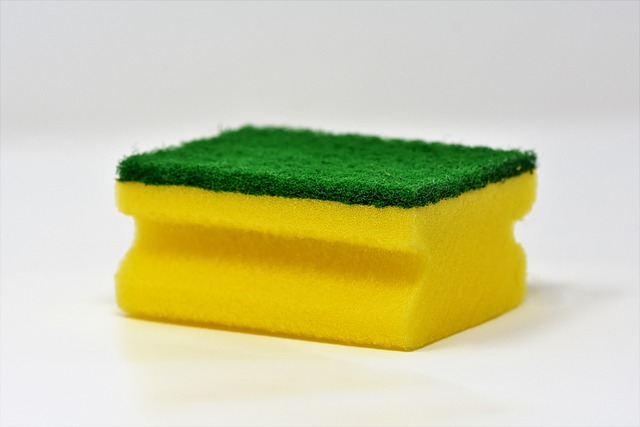 sponge