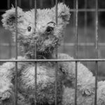 teddy-bears-behind-prison-bars