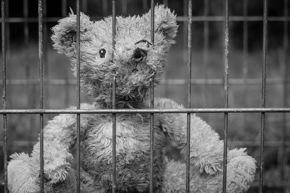 teddy-bears-behind-prison-bars