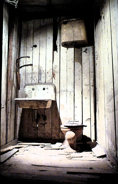 old-field-toilet