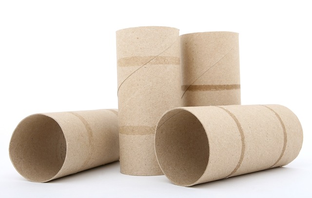 roll-toilet-paper