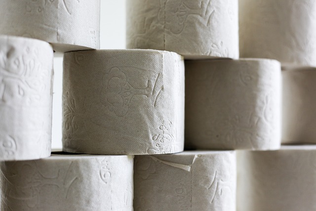 toilet-paper1